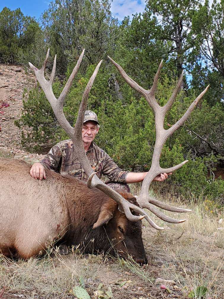 colorado elk hunting trip